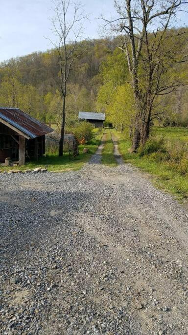 Country Mountain Escape! Villa Barnardsville Eksteriør bilde