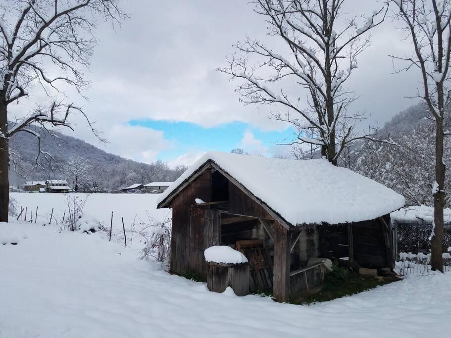 Country Mountain Escape! Villa Barnardsville Eksteriør bilde